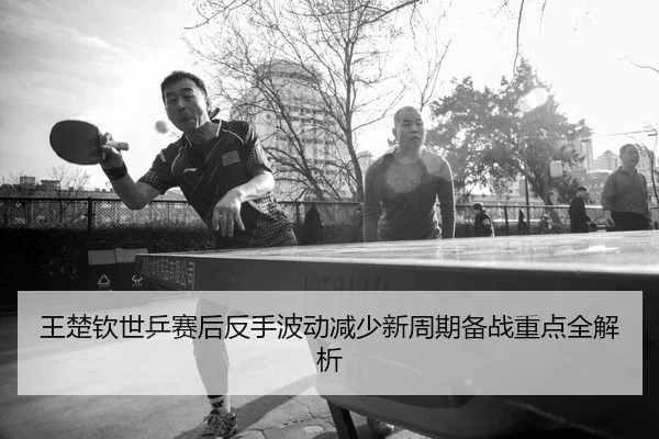 王楚钦世乒赛后反手波动减少新周期备战重点全解析